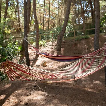 Residenza Del Timo Holiday home Gallipoli