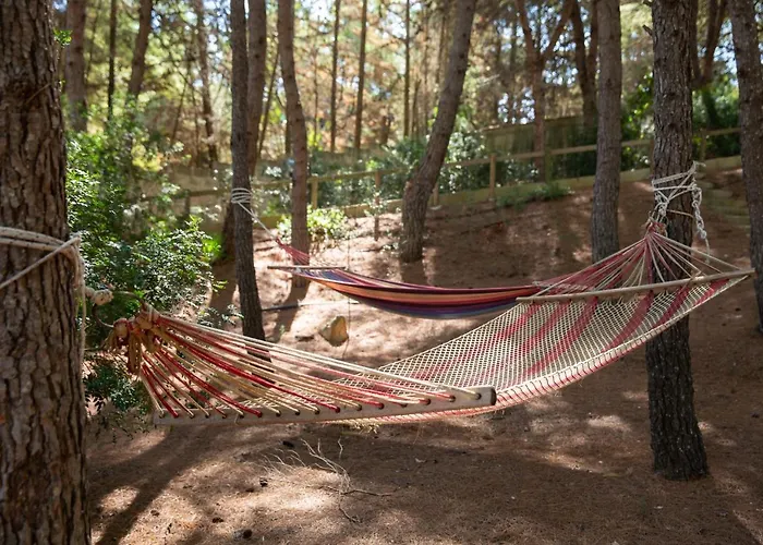 Residenza Del Timo Casa vacanze Gallipoli